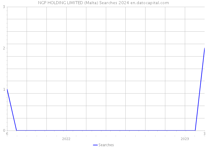 NGP HOLDING LIMITED (Malta) Searches 2024 