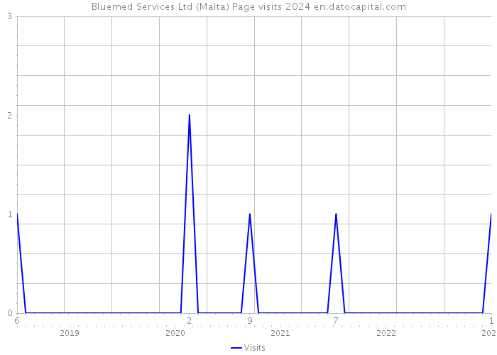 Bluemed Services Ltd (Malta) Page visits 2024 