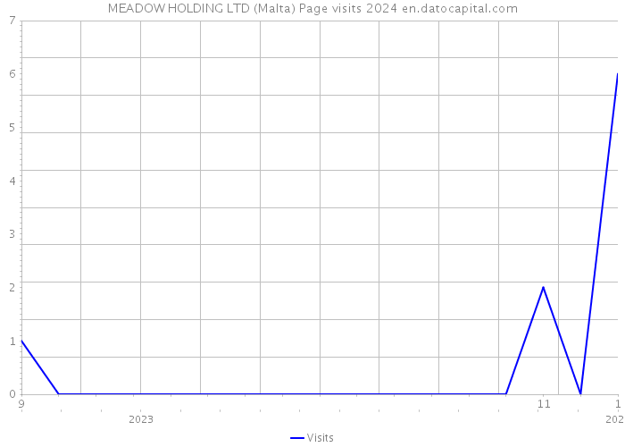 MEADOW HOLDING LTD (Malta) Page visits 2024 