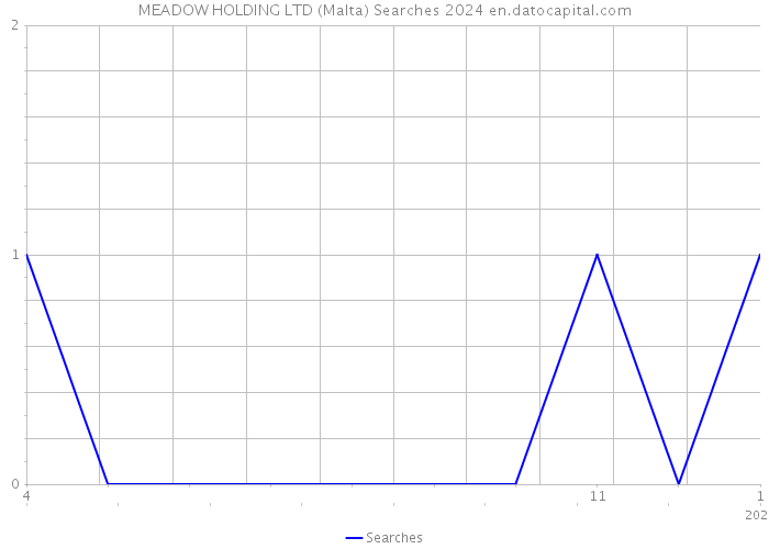 MEADOW HOLDING LTD (Malta) Searches 2024 