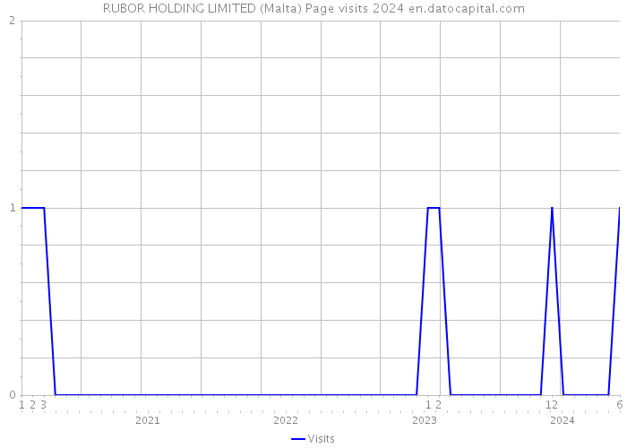 RUBOR HOLDING LIMITED (Malta) Page visits 2024 