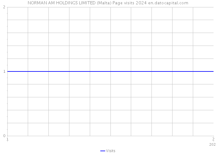 NORMAN AM HOLDINGS LIMITED (Malta) Page visits 2024 