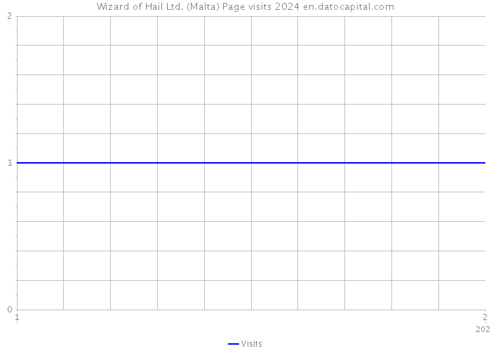 Wizard of Hail Ltd. (Malta) Page visits 2024 