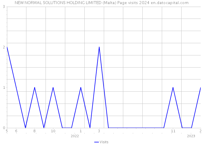 NEW NORMAL SOLUTIONS HOLDING LIMITED (Malta) Page visits 2024 